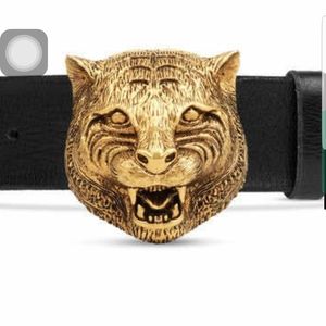 Meet your Posher, Nolan